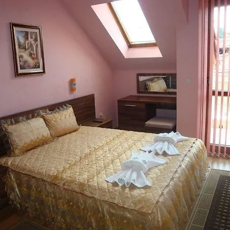 Tzvetelina Palace 2* Dołna Banja