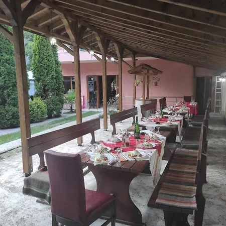 Hotel Tzvetelina Palace Dołna Banja