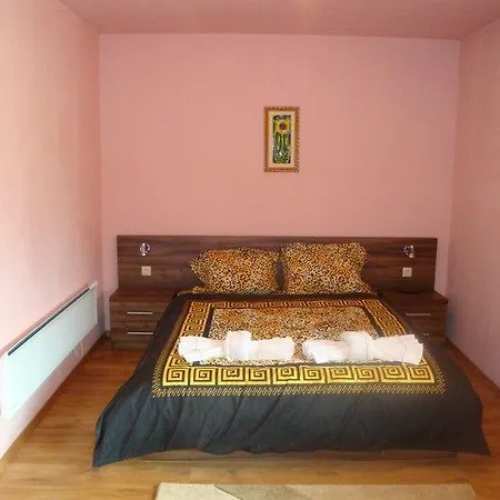 Hotel Tzvetelina Palace
