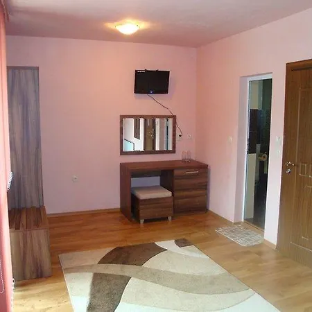 Hotel Tzvetelina Palace Dolna Banya
