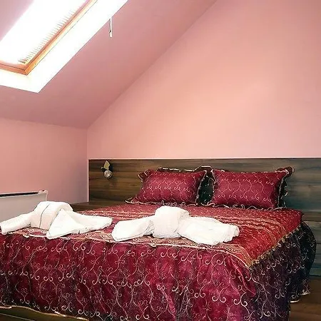 Tzvetelina Palace Dolna Banya