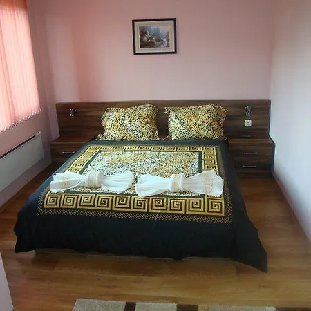 Hotel Tzvetelina Palace Dolna Banya
