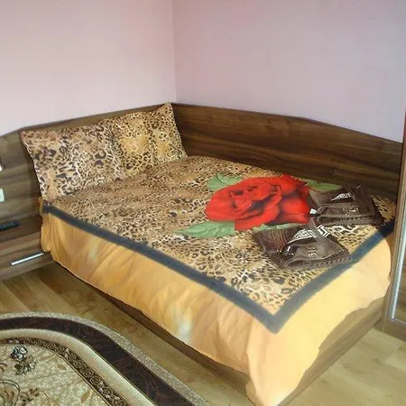 Hotel Tzvetelina Palace Dolna Banya