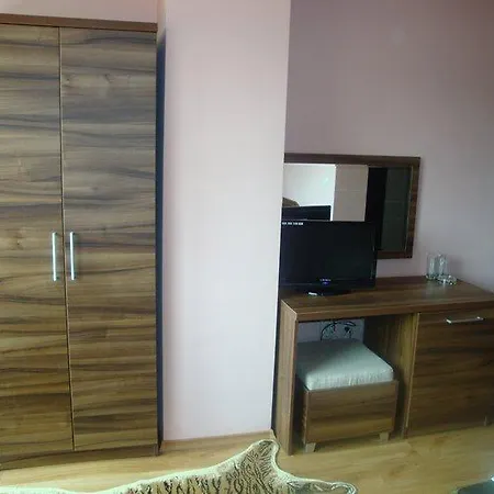 Hotel Tzvetelina Palace Dolna Banya